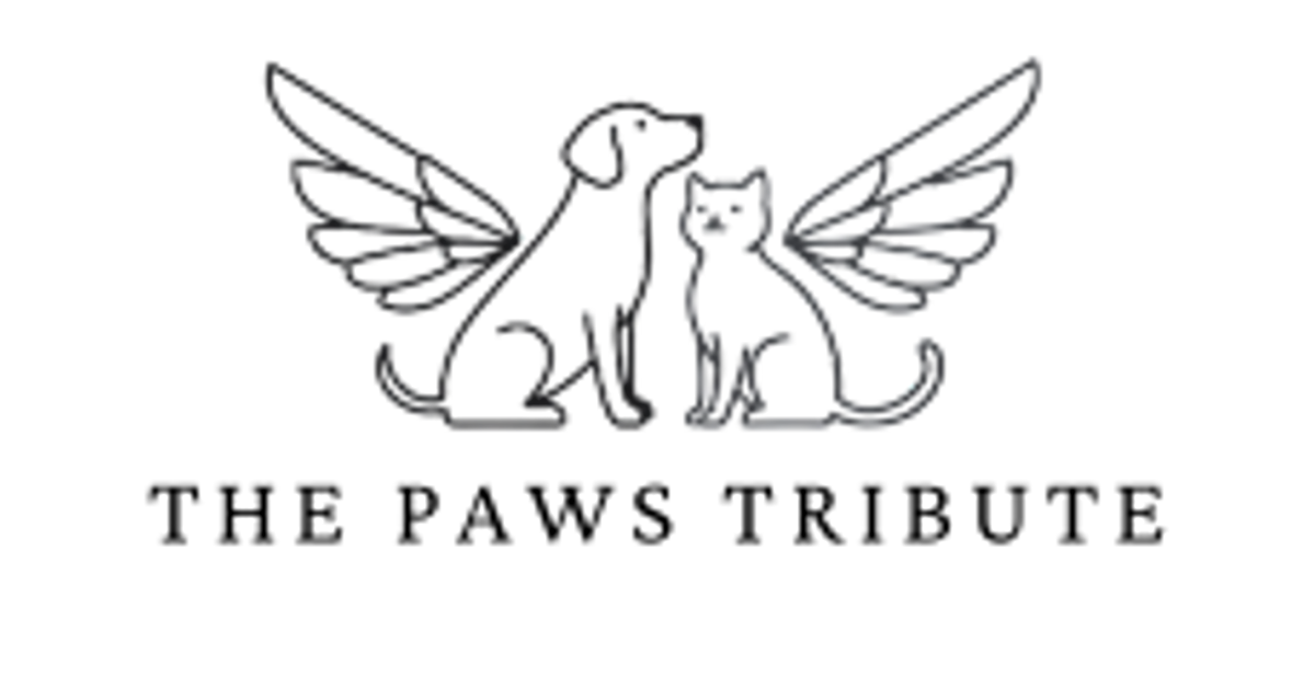 The Paws Tribute cover