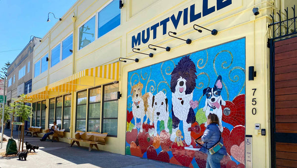 Muttville