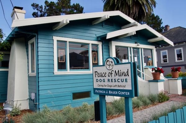 Peace Of Mind Dog Rescue